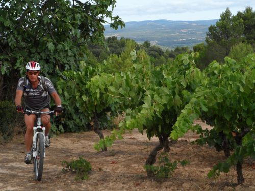 BIZE-MINERVOIS