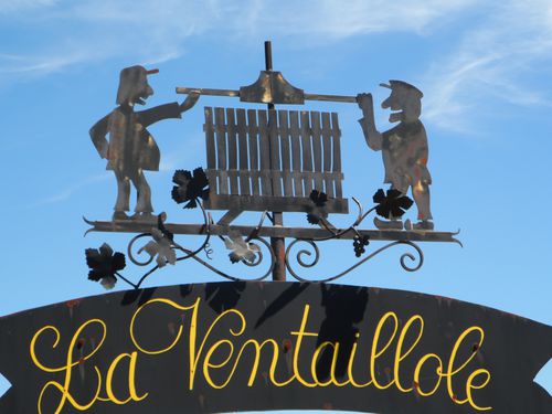 VIGNOBLE.JPG