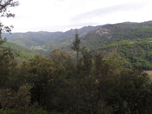 VUE-copie-1.JPG