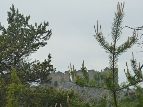 RUINE.jpg