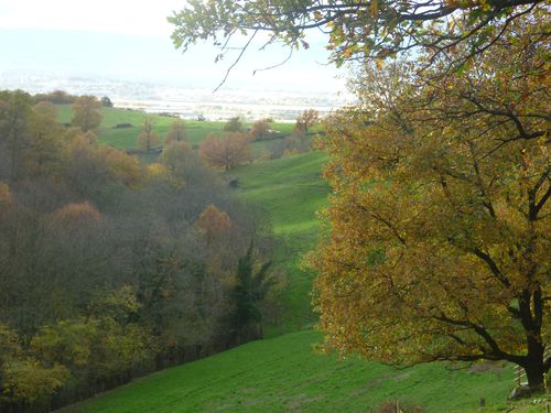 VERTES-PRAIRIES.jpg