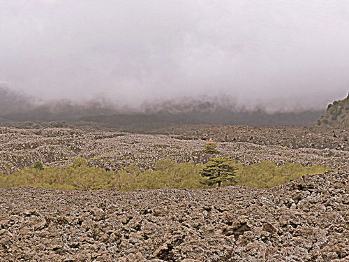 sur-l-etna.JPG