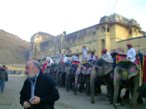 Elefantes en Fuerte Amber