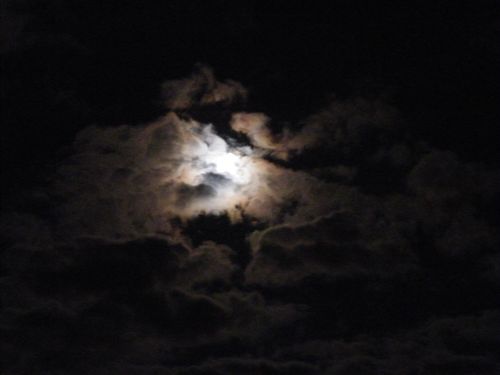DSCF7071