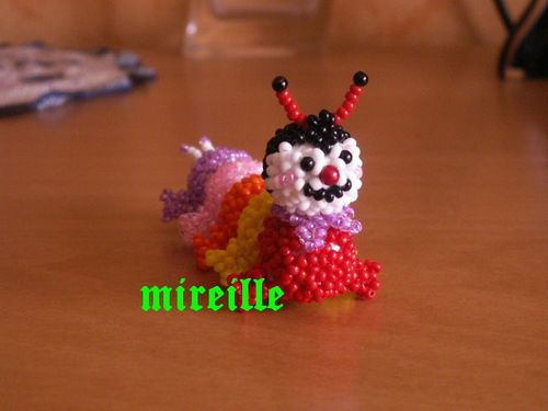 mille-pattes-labella-123.jpg