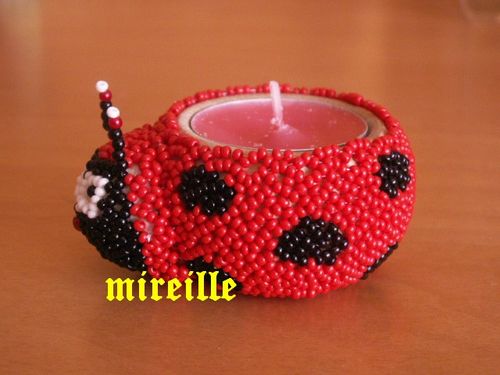 coccinelle-labella-150-de-profil.jpg