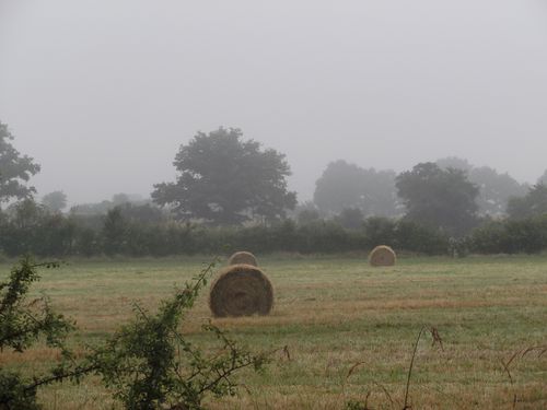DSCF5812.JPG