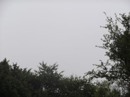 DSCF5813.JPG