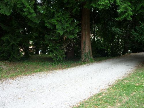 P1020200.JPG