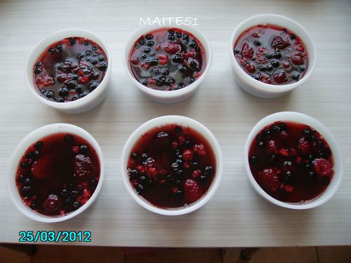 Aspics-aux-Fruits-Rouges-25-02-2012.JPG