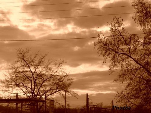 CIMG0019