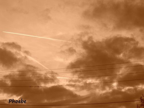 CIMG0021