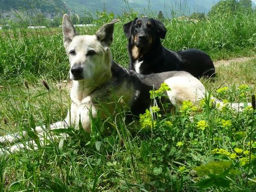 20 trop chaud pour Bella et Buffy