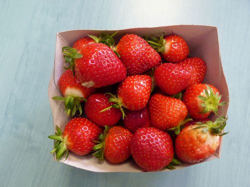 fraises.