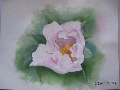 fleur-d-amiens.jpg