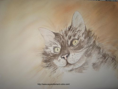 Blue Portrait De Chat Pas A Pas N 12 Aquarellement Votre