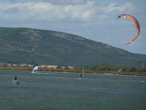 P1000668.jpg