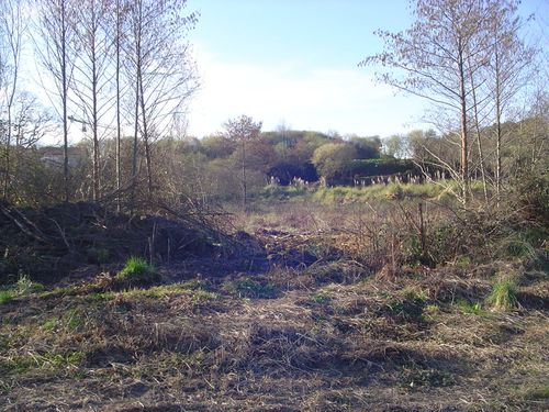 DSC03081