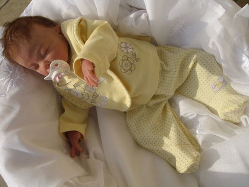 Photo-184.jpg