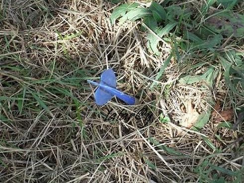 DSCF7763R.JPG