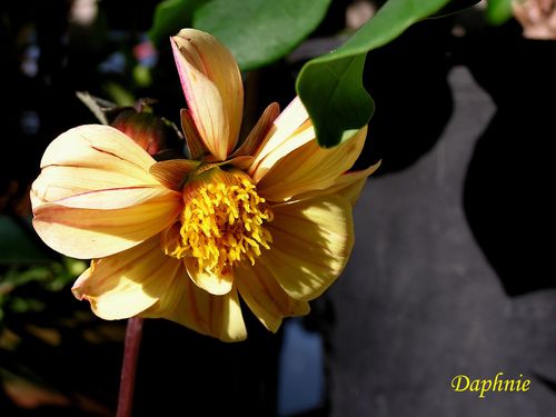 20030101_22.JPG