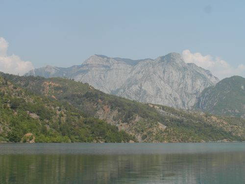 505.JPG
