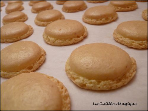 Macarons 01/2011