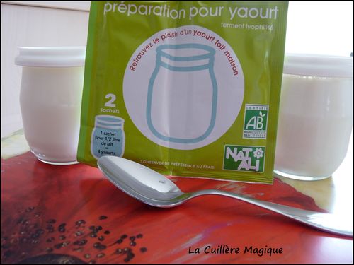 cuisine 077