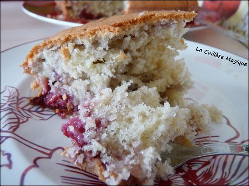Gâteau rhubarbe framboises 012