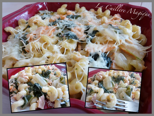 Gratin-de-pates--cotes-de-bettes-et-saumon.png