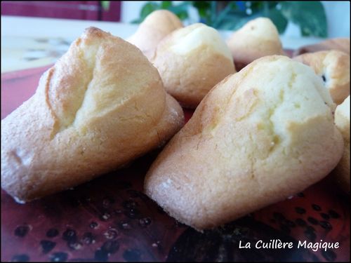 015-copie-3