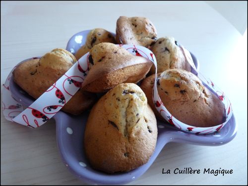 019-copie-1