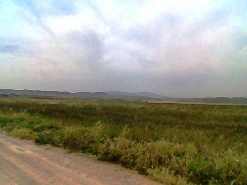 Recovered_JPEG_639.jpg
