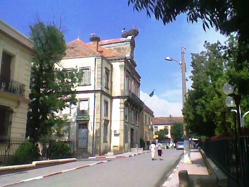 S.E.G Mairie Photo128
