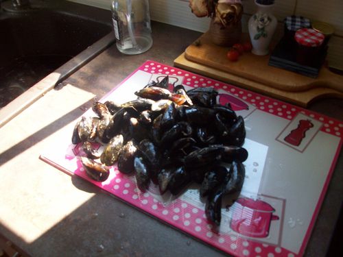 100_2603.JPG