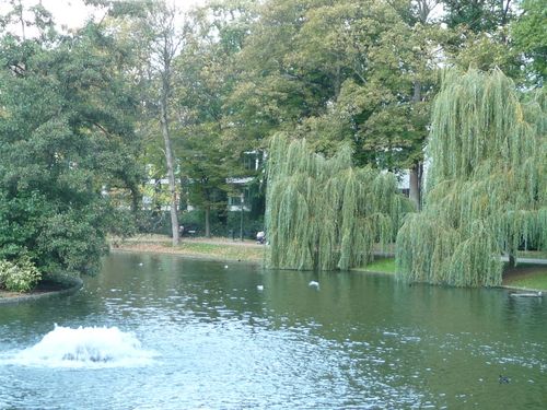 parc léopold 007