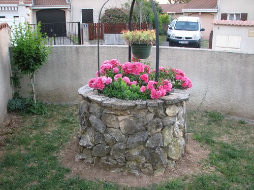 2011.05.24 Rosier dans le puits1