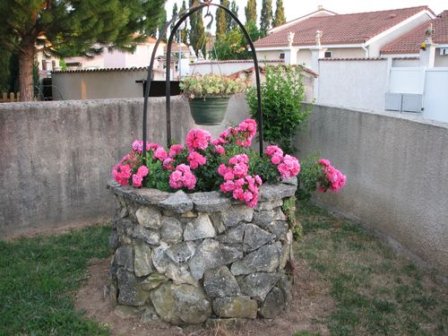 2011.05.24 Rosier dans le puits2
