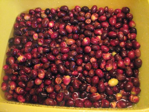 2011.12.14-Nos-olives-noires.jpg