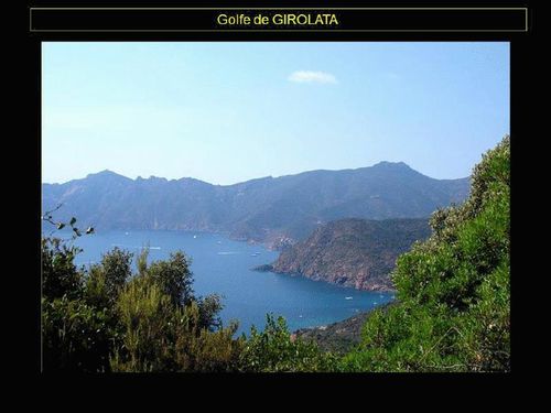 11 girolata