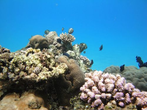 Senggigi