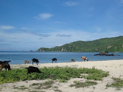 Kuta Lombok