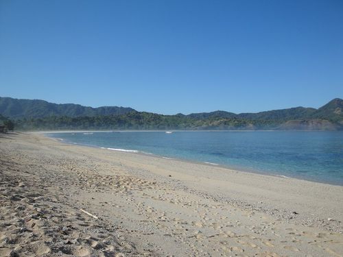Maluk