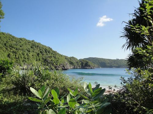 Maluk