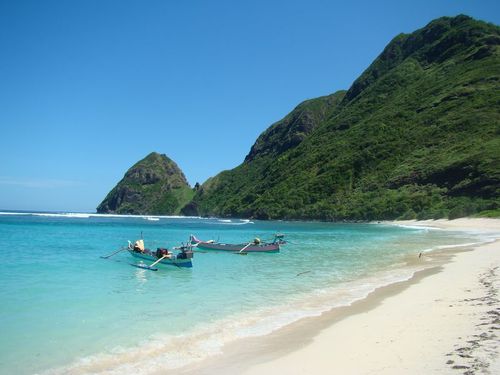 Maluk