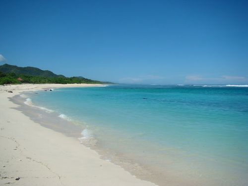 Maluk