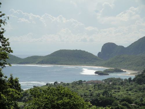 Maluk