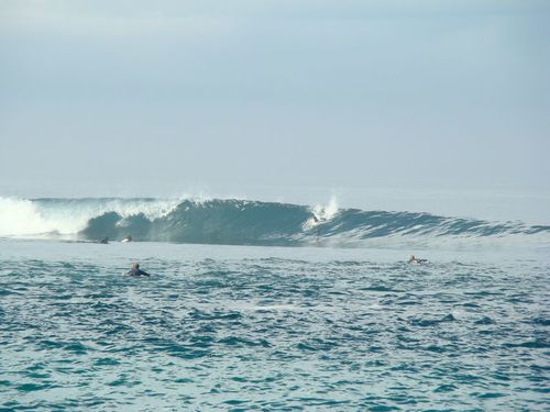 Sekongkang