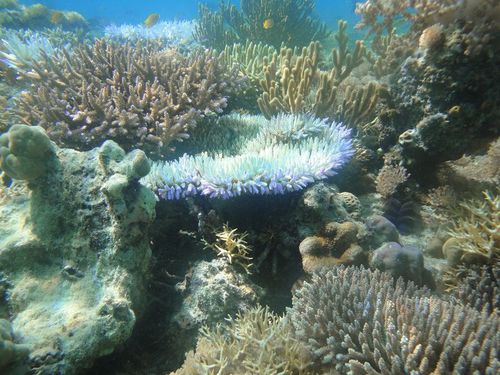 Pulau Seraya