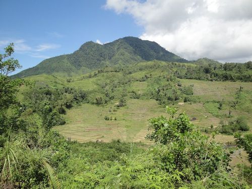 Ruteng & Bajawa